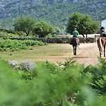 Tesori Di Sardegna Apartamento *