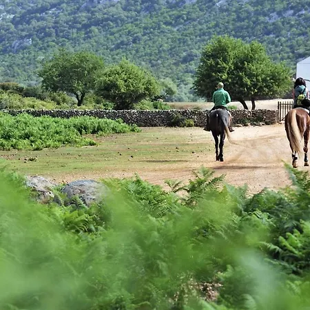 Tesori Di Sardegna Apartmán *